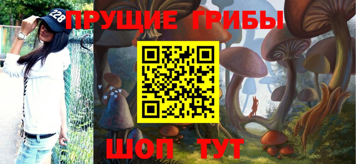 Галлюциногенные грибы ЛСД  Вход с VPN  Псилоцибиновые грибы Magic Shrooms  Тамбов 